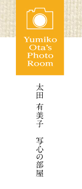 Yumoko Ota's PHOTO ROOM